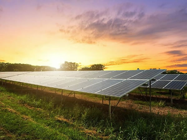 Solar Farm Update March 2020