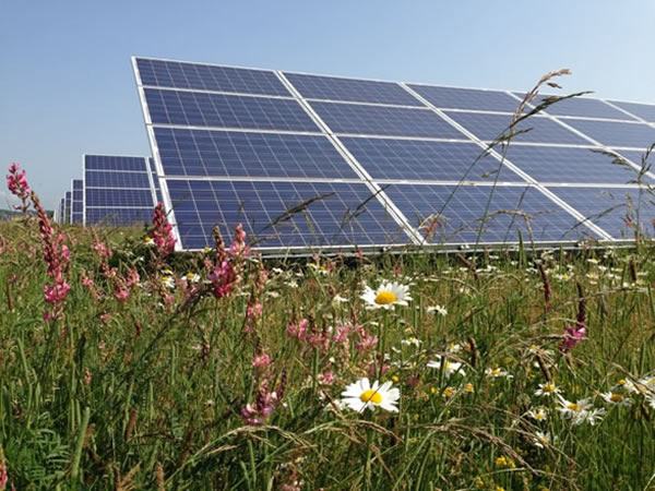 Community Solar Farm - Get Involved!
